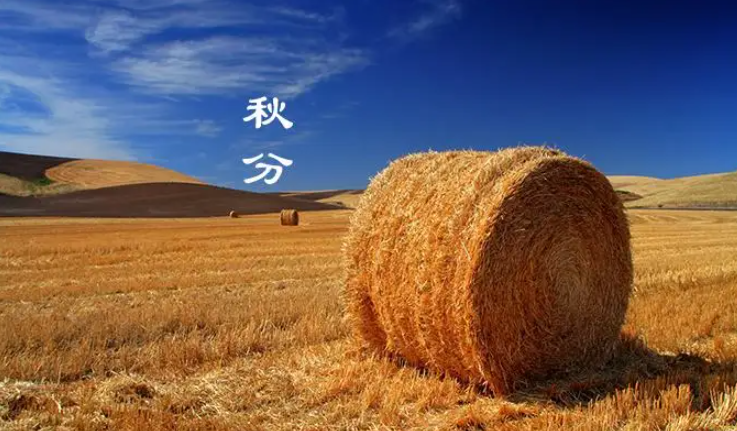 网站托管