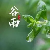 春天的最后一个节气——谷雨