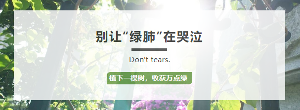 植树节|别让“绿肺”在哭泣